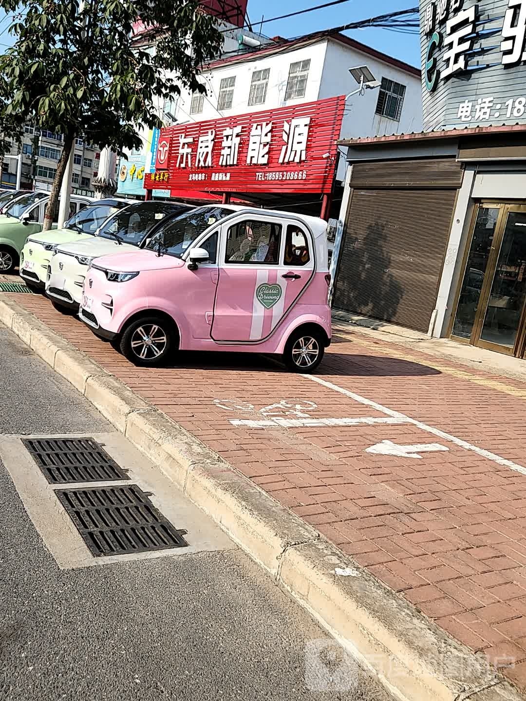 正阳县立马电动车(慎西路店)