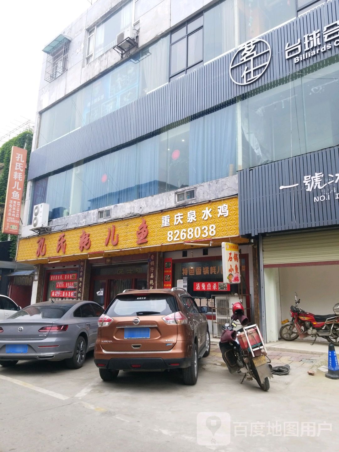 孔氏耗儿鱼
