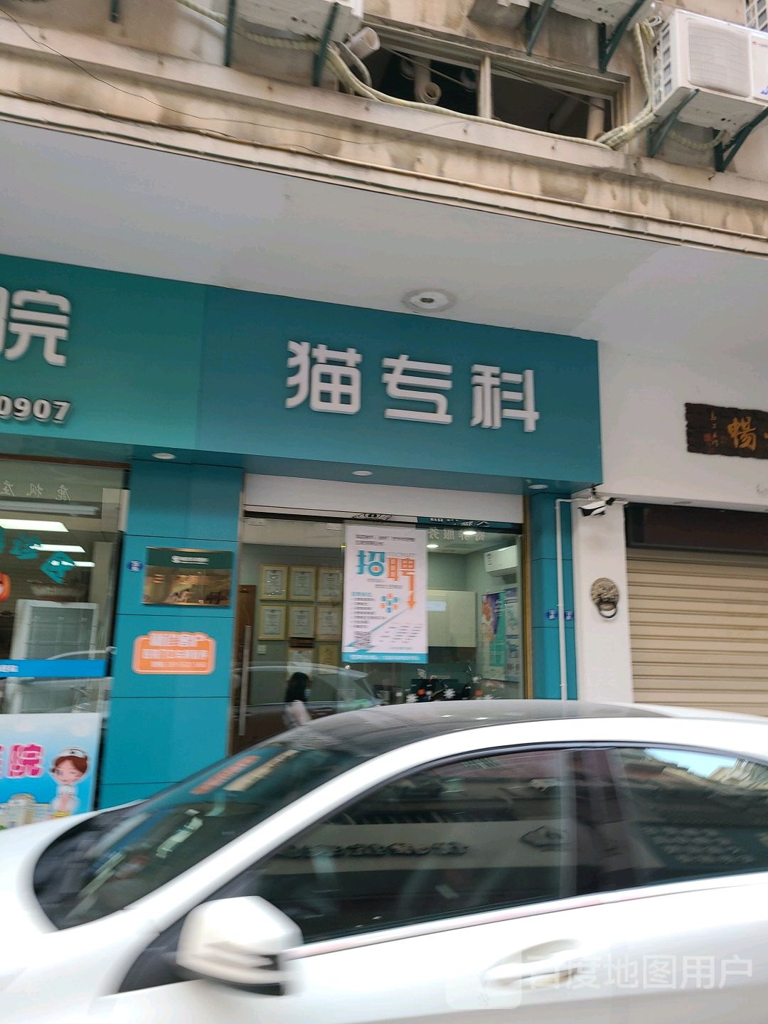 猫专科(元光南路店)