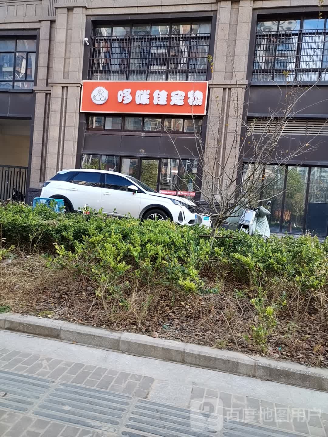 哆咪佳宠物