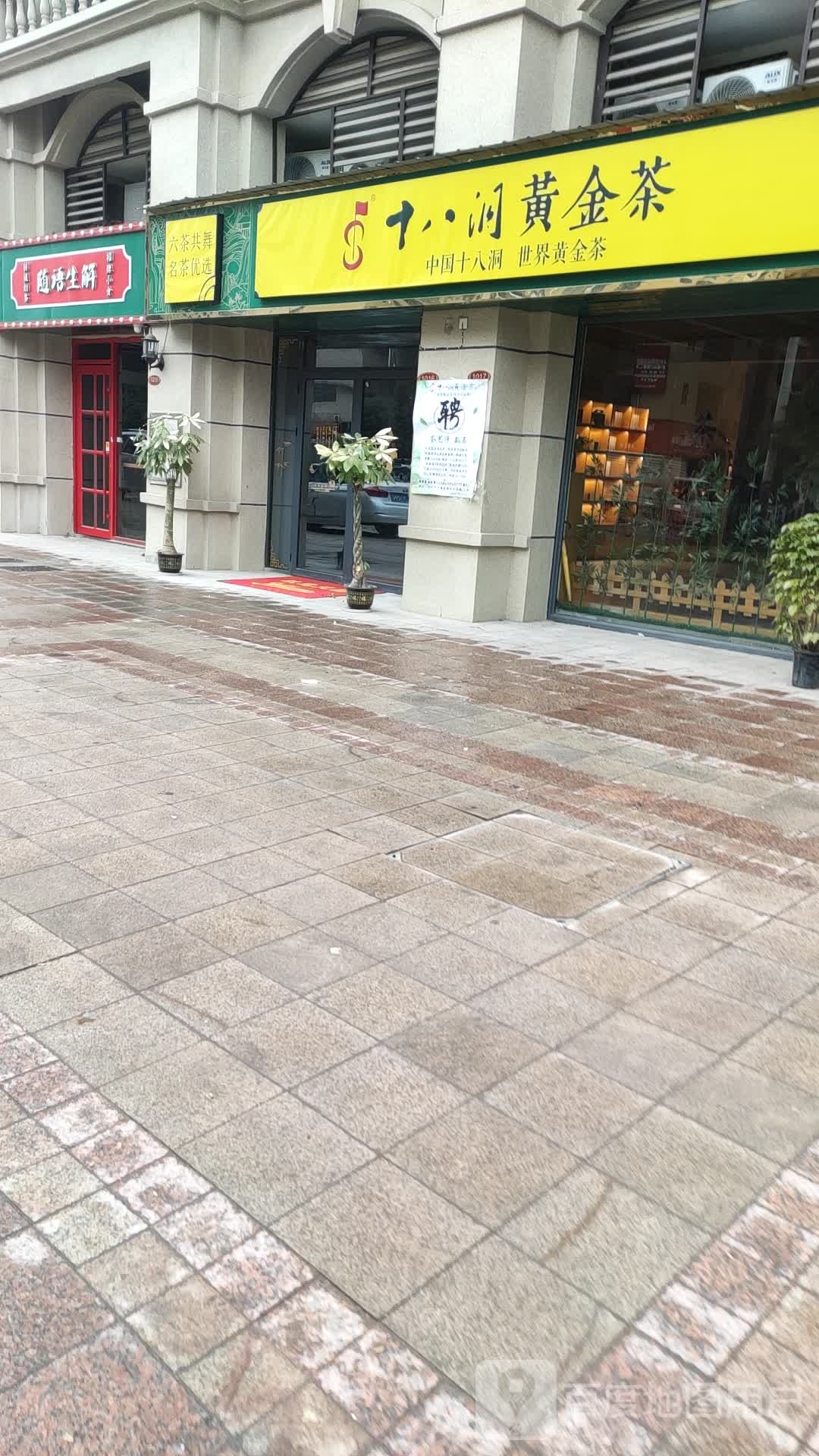 十八洞黄金茶