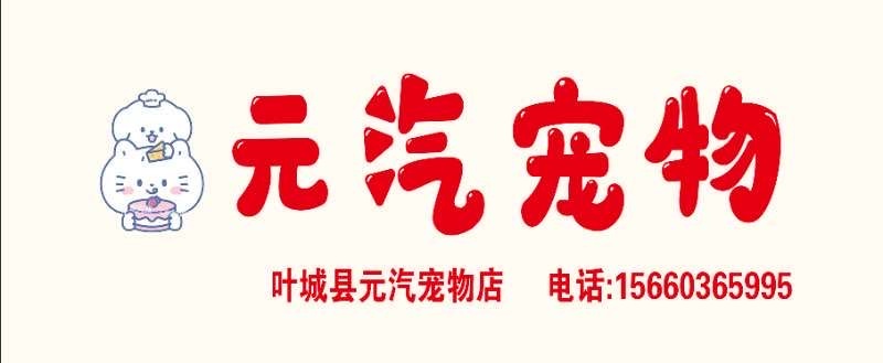 元汽宠物