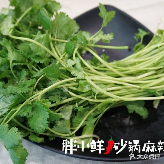 胖小鲜砂锅麻辣烫(置地·栢景雅居翠竹轩店)