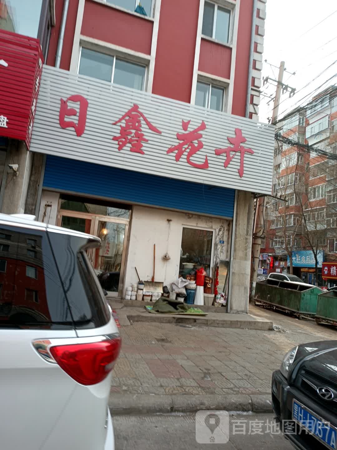 日鑫花卉