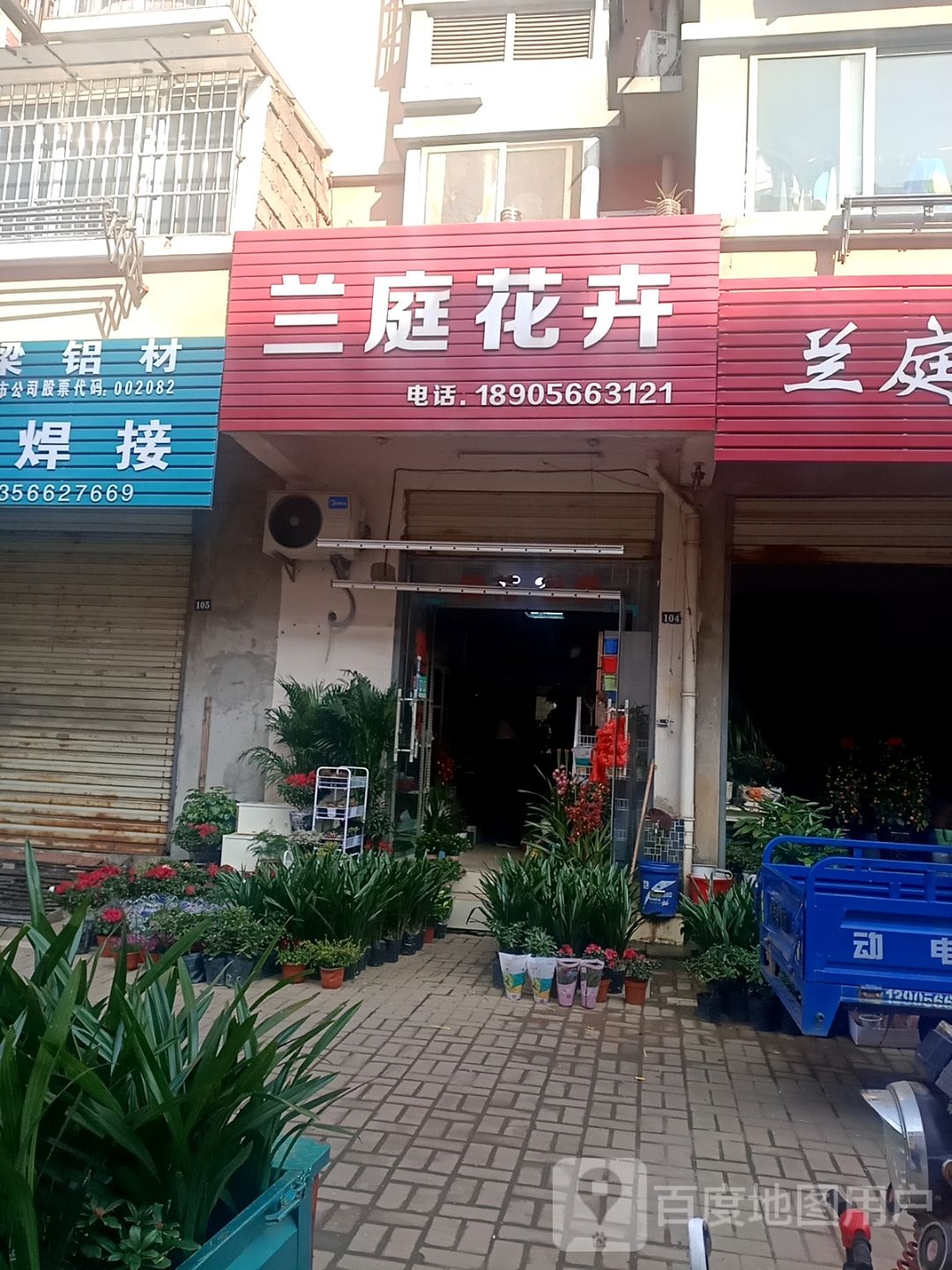 兰庭花卉