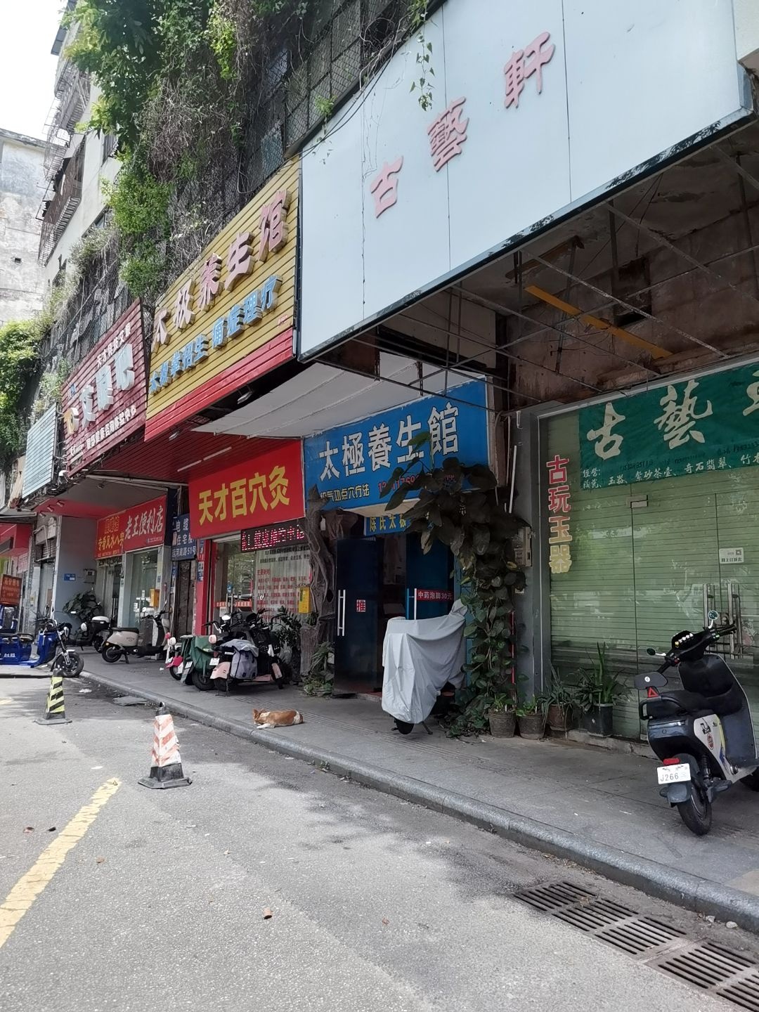 古艺轩(电缆厂住宅楼店)