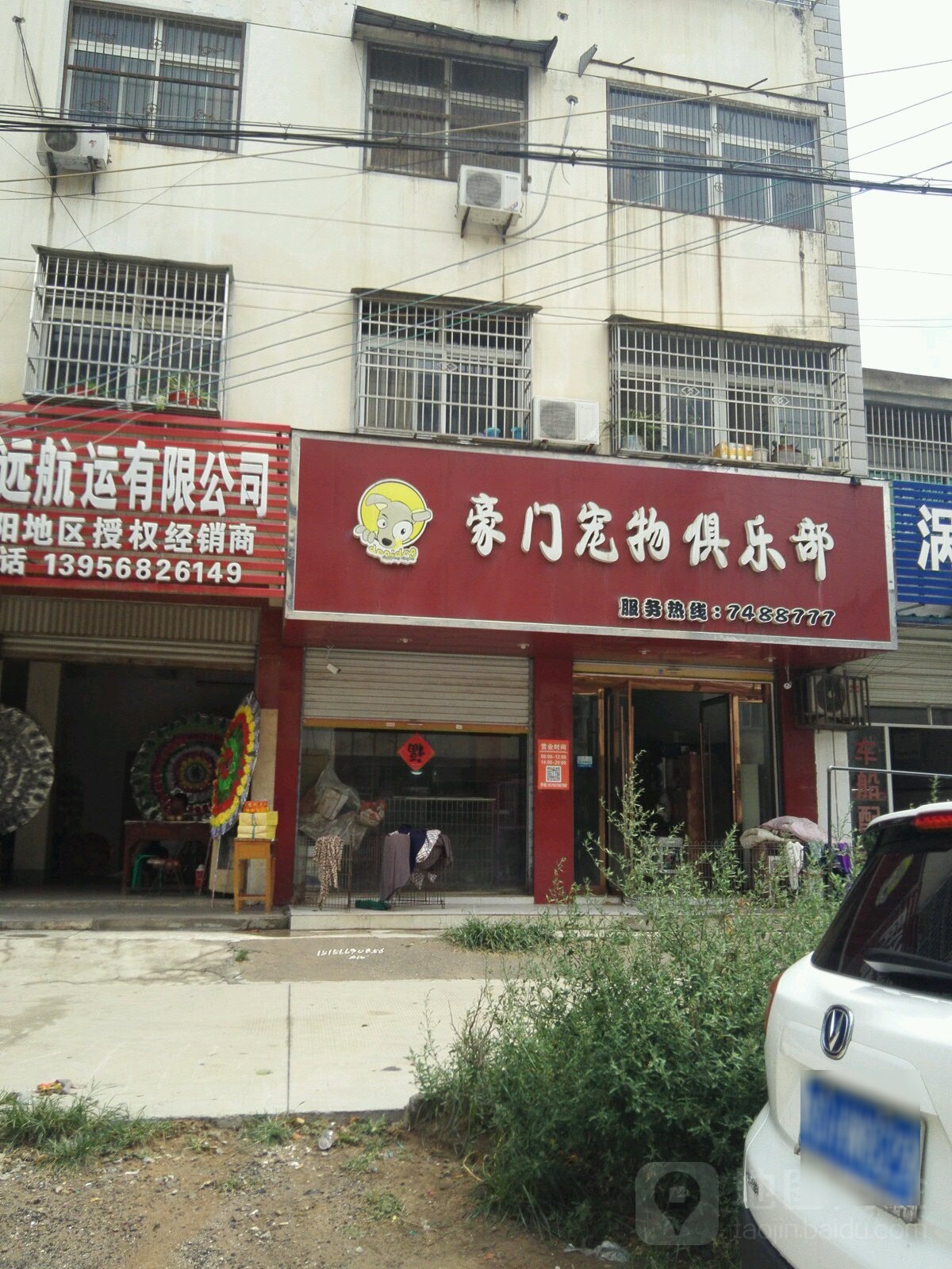 豪門(mén)寵物俱樂(lè )部