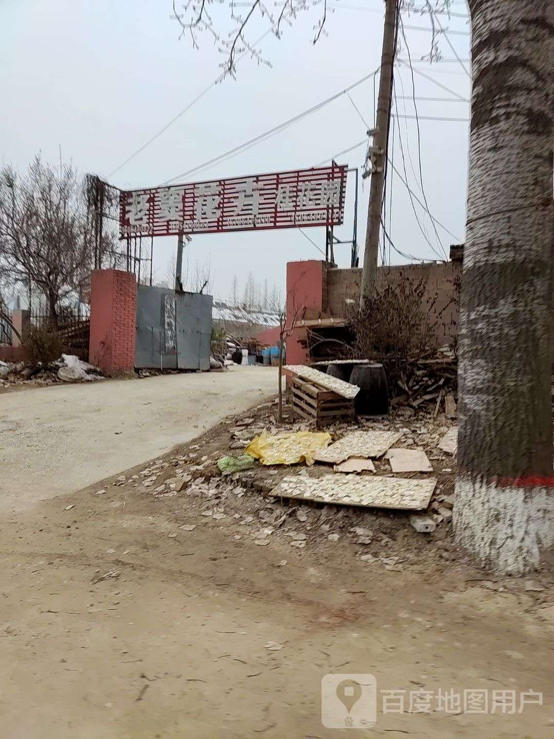 老窦花卉桂花园