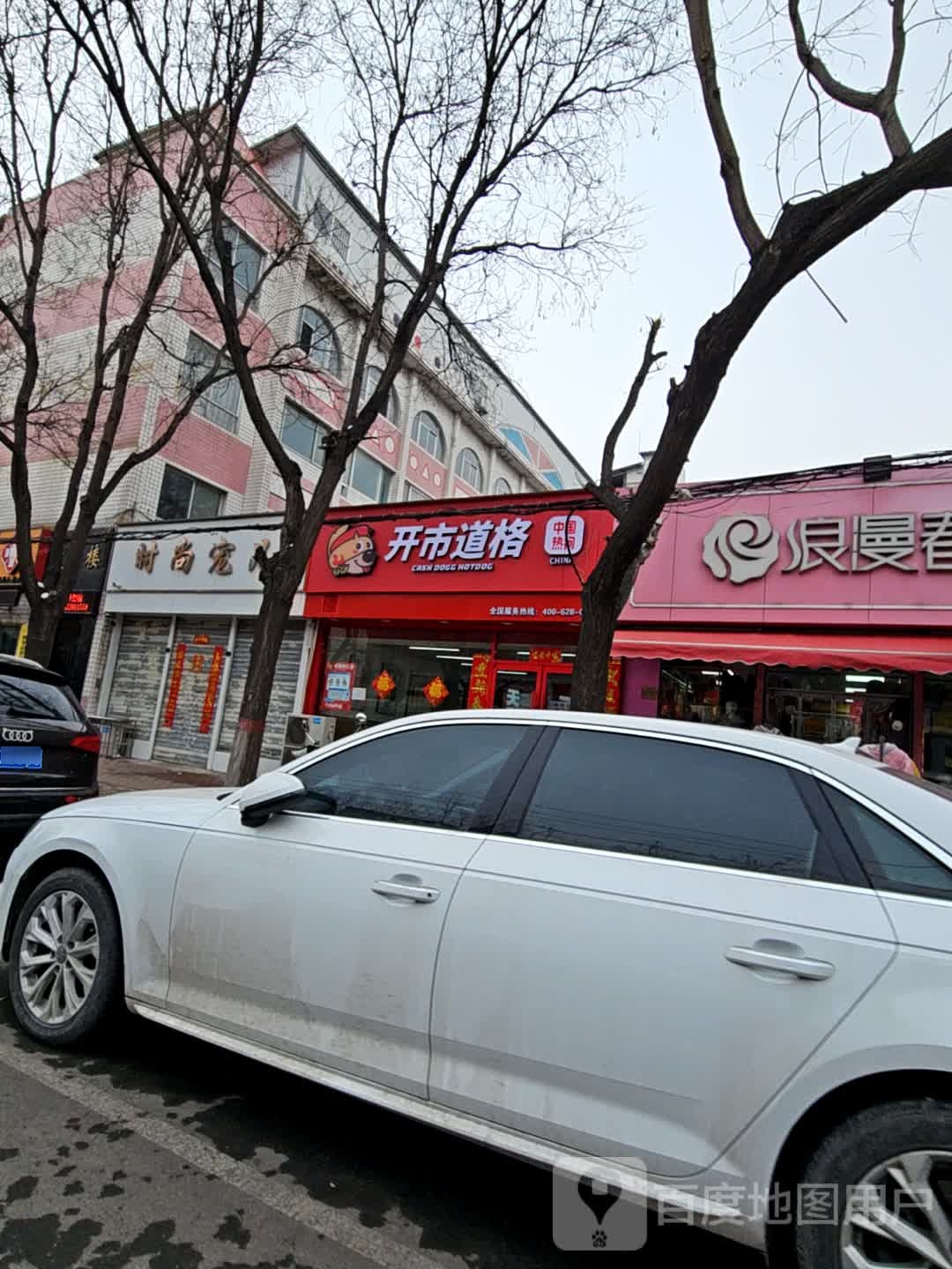 开市道格·中国热掠狗维