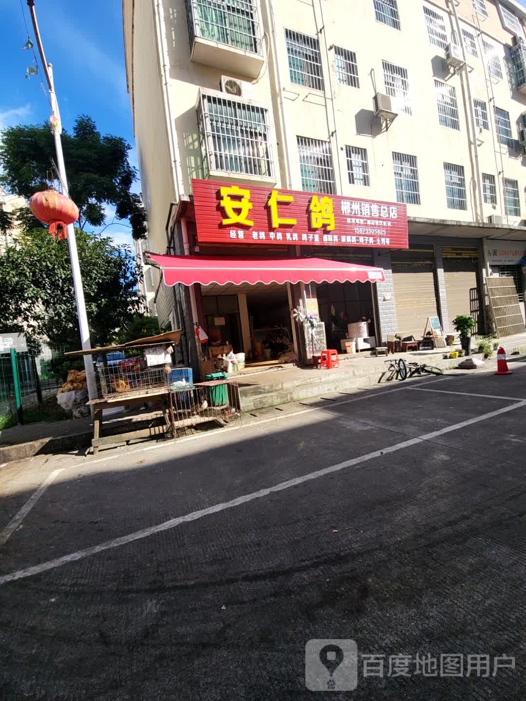 安仁鸽郴州销售部店