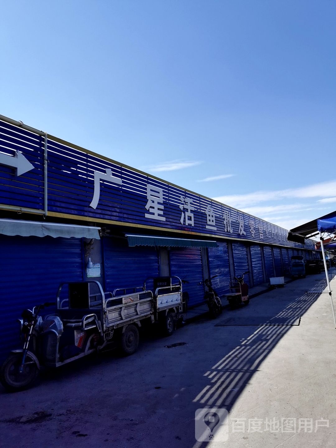 广星活鱼批发零售