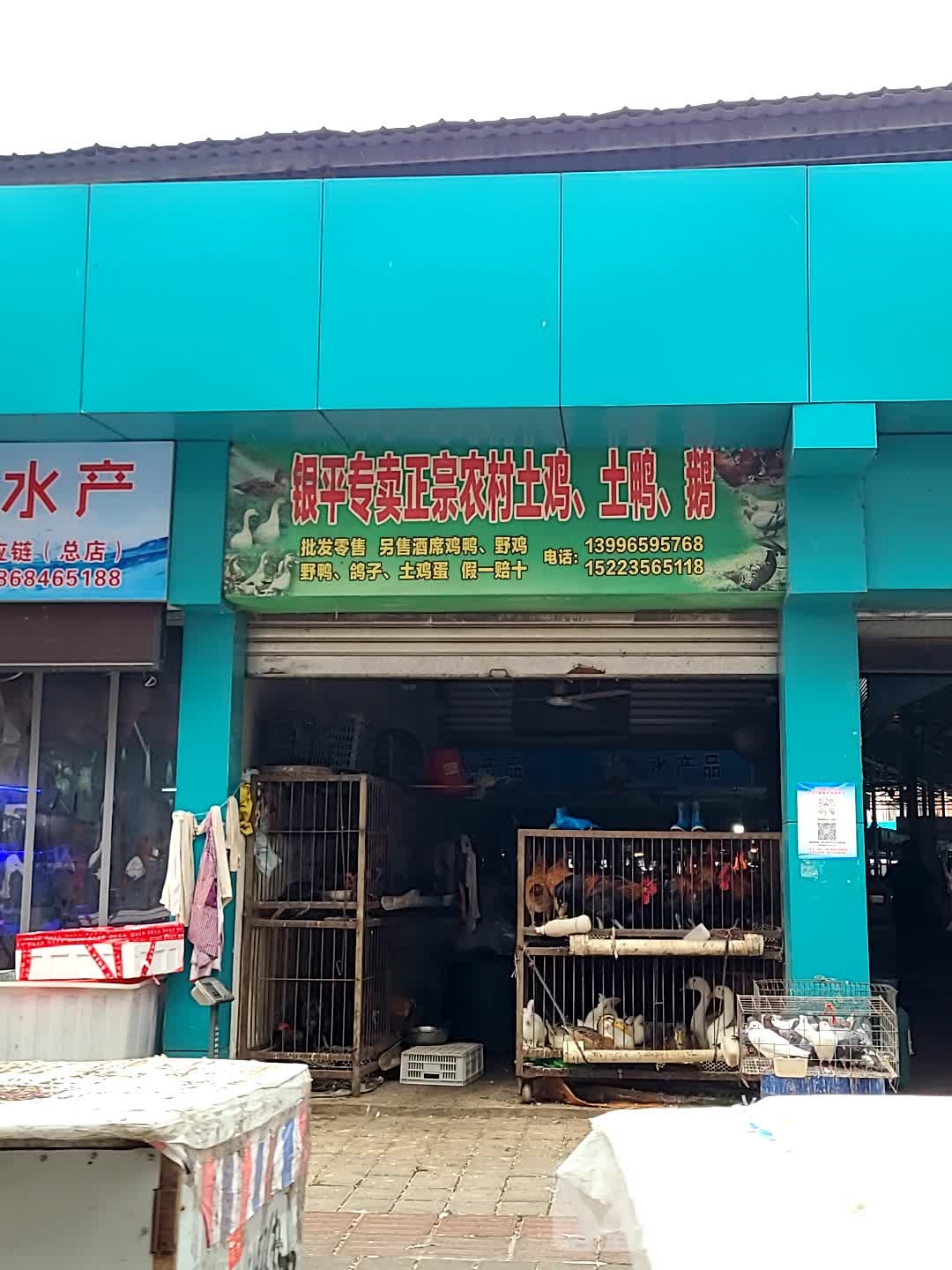 银平专卖正宗农村土鸡,土鸭,鹅