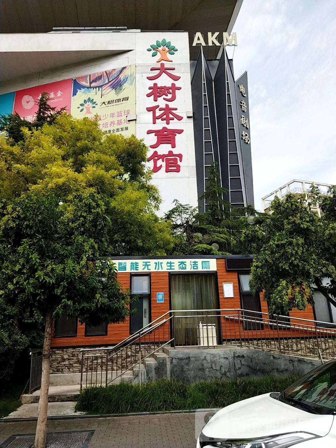 大树体育馋