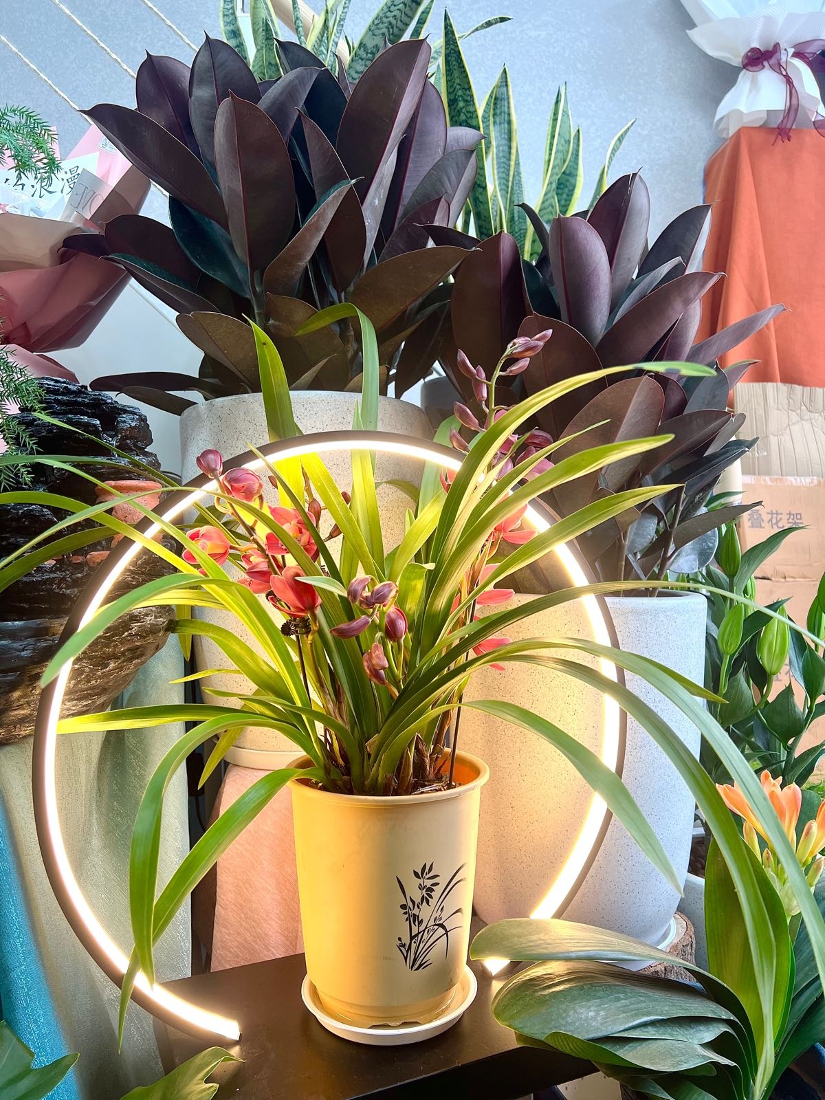 花兮花艺美学
