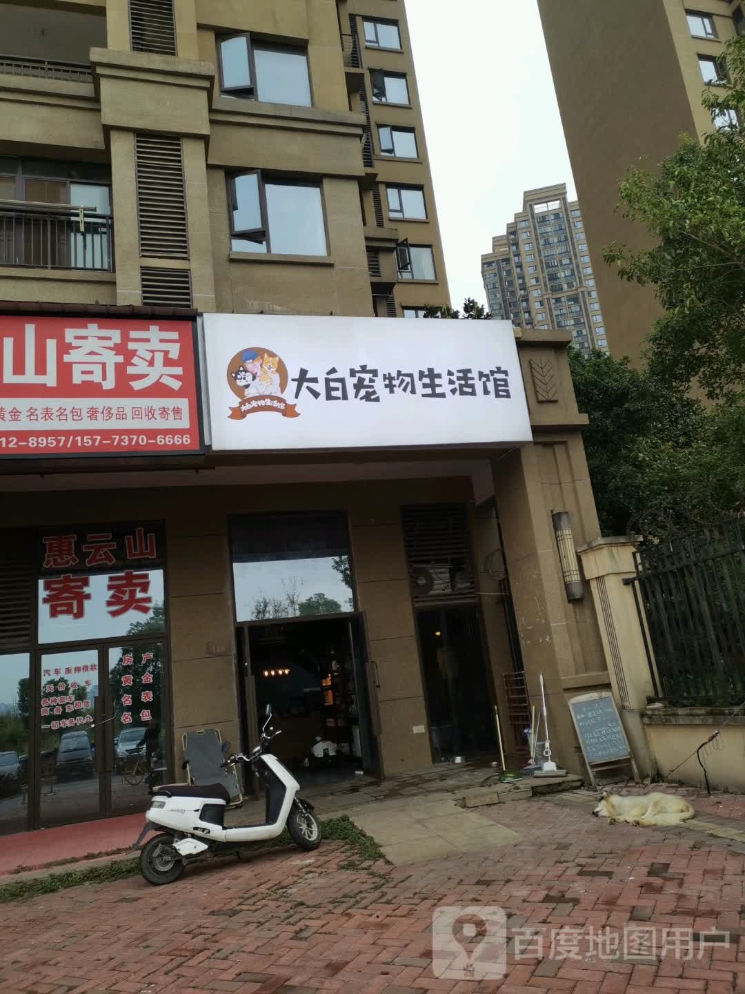 大白宠物生活馆