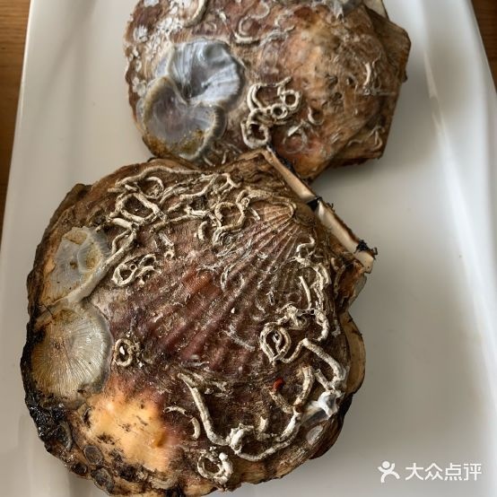 小懂海鲜