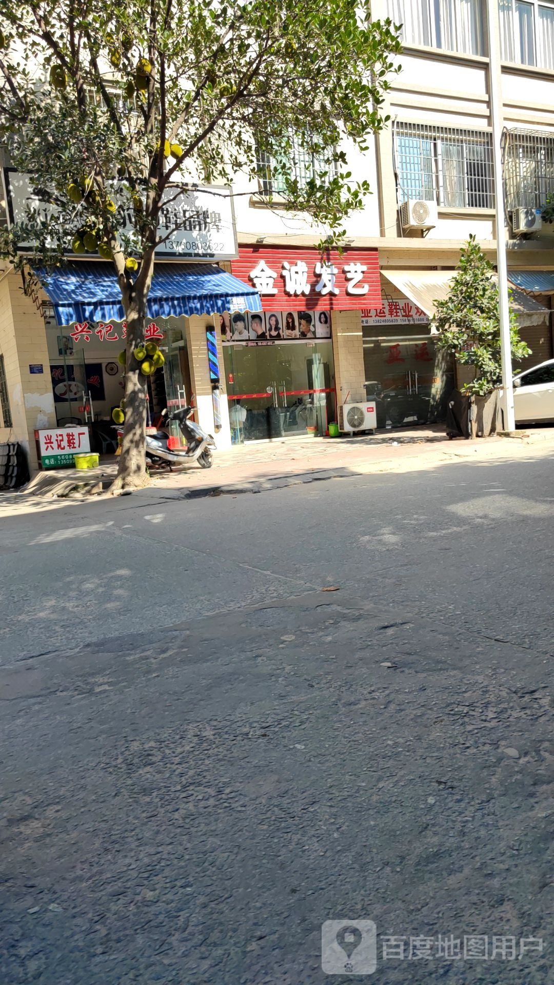 金诚发艺