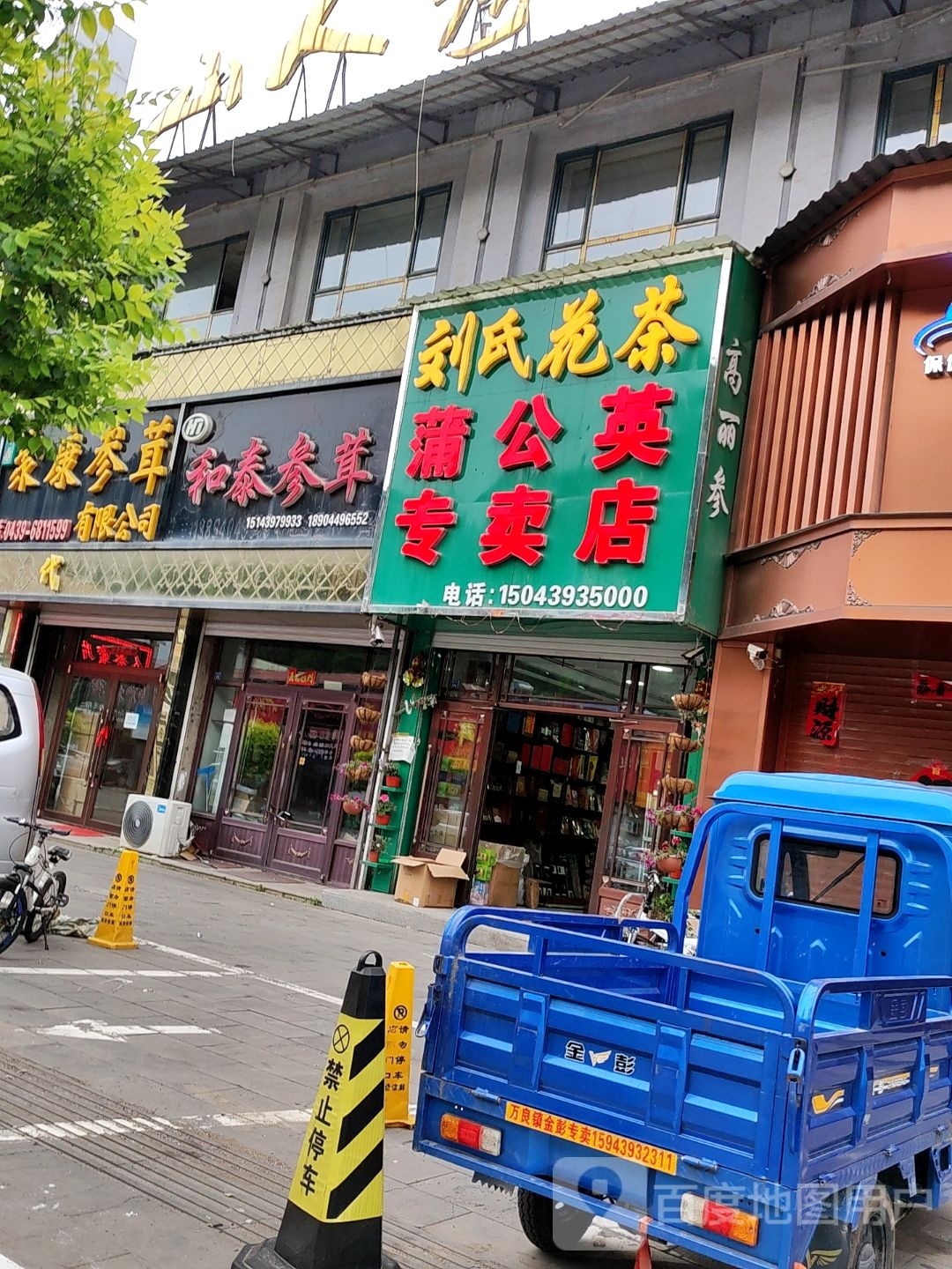 刘氏花茶蒲公英专卖店