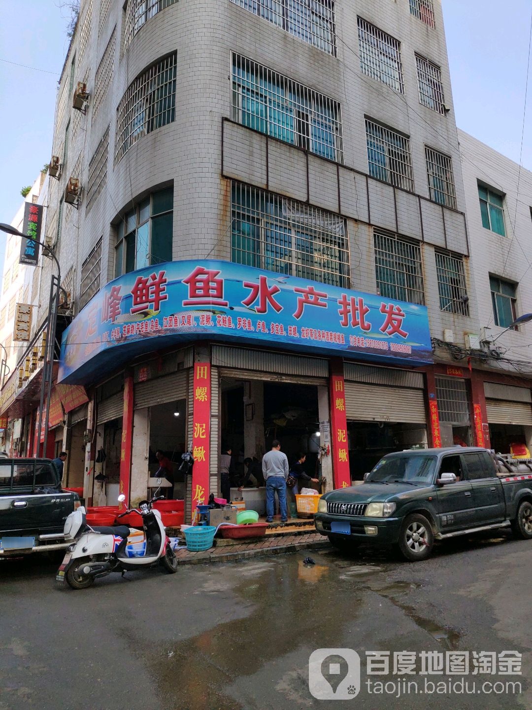 定峰鲜鱼水产批发