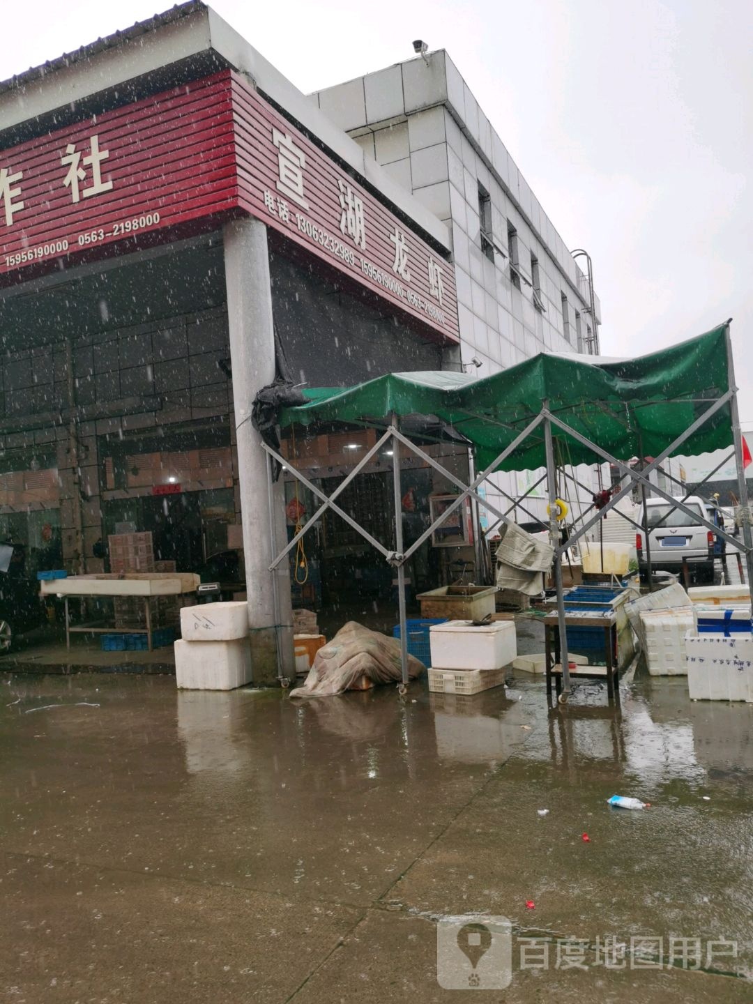 宣湖龙虾专业合作社