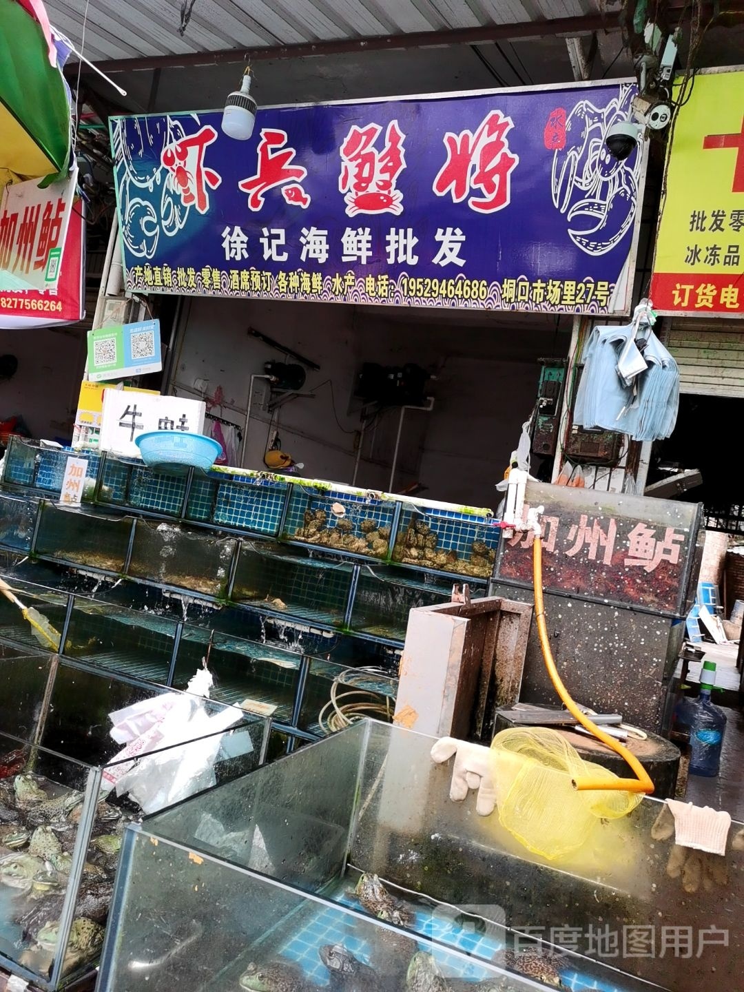 徐记海鲜批发