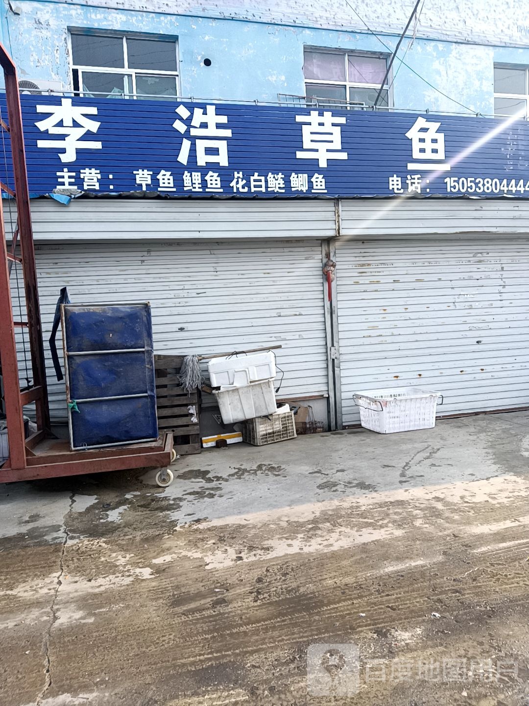 李浩草鱼批发