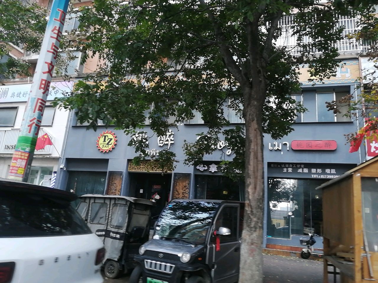 桃醉