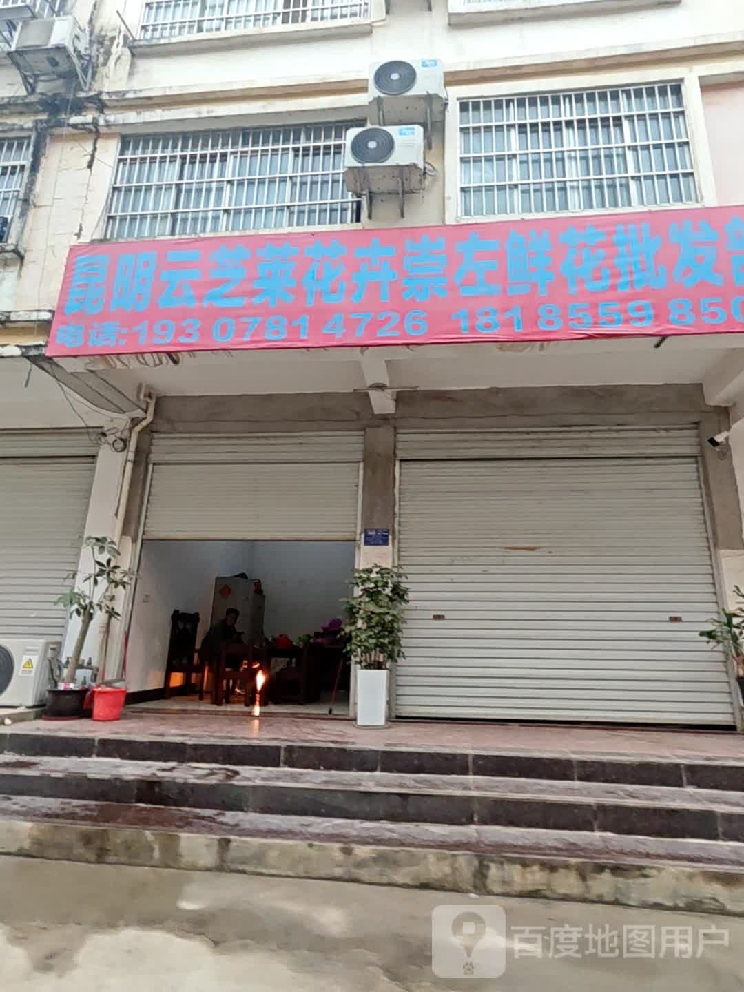 昆明云芝莱花卉崇左鲜花批发部