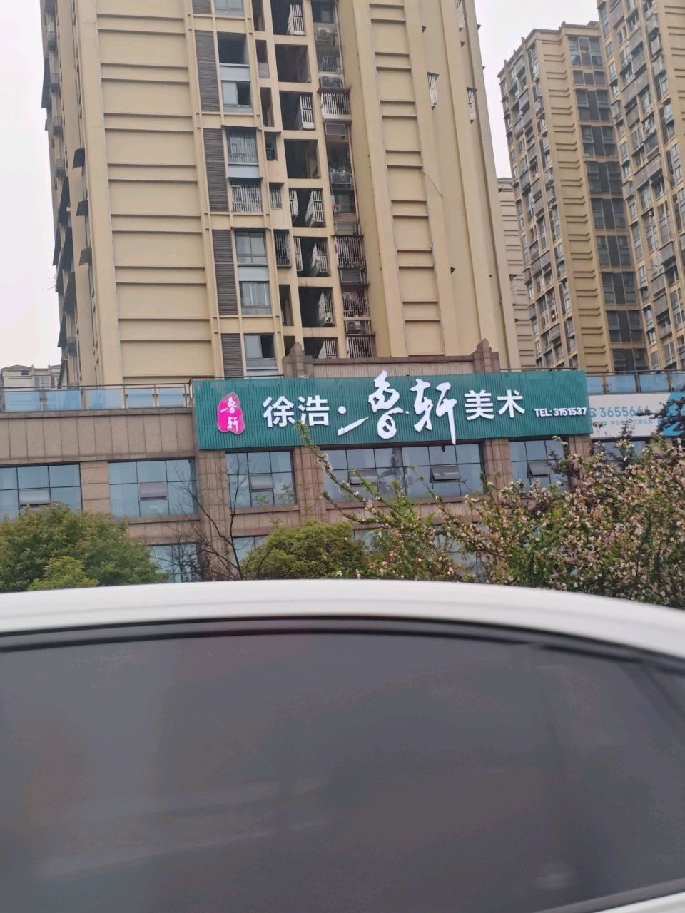 徐浩鲁轩美术(泸州校区)
