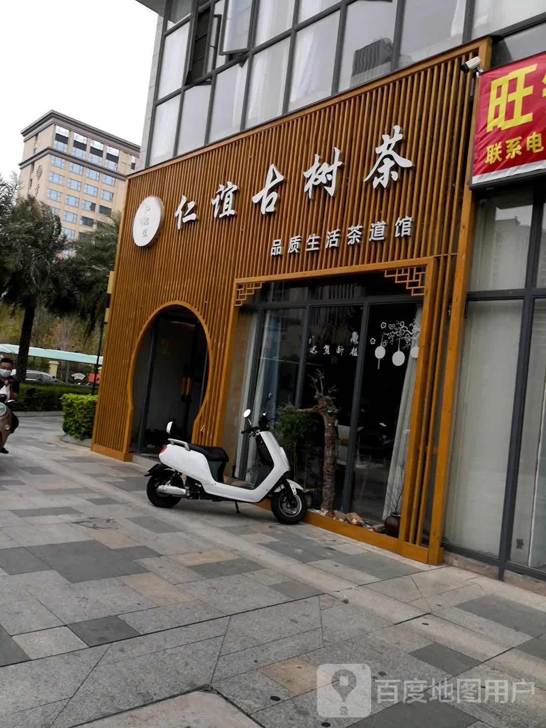仁谊古树茶