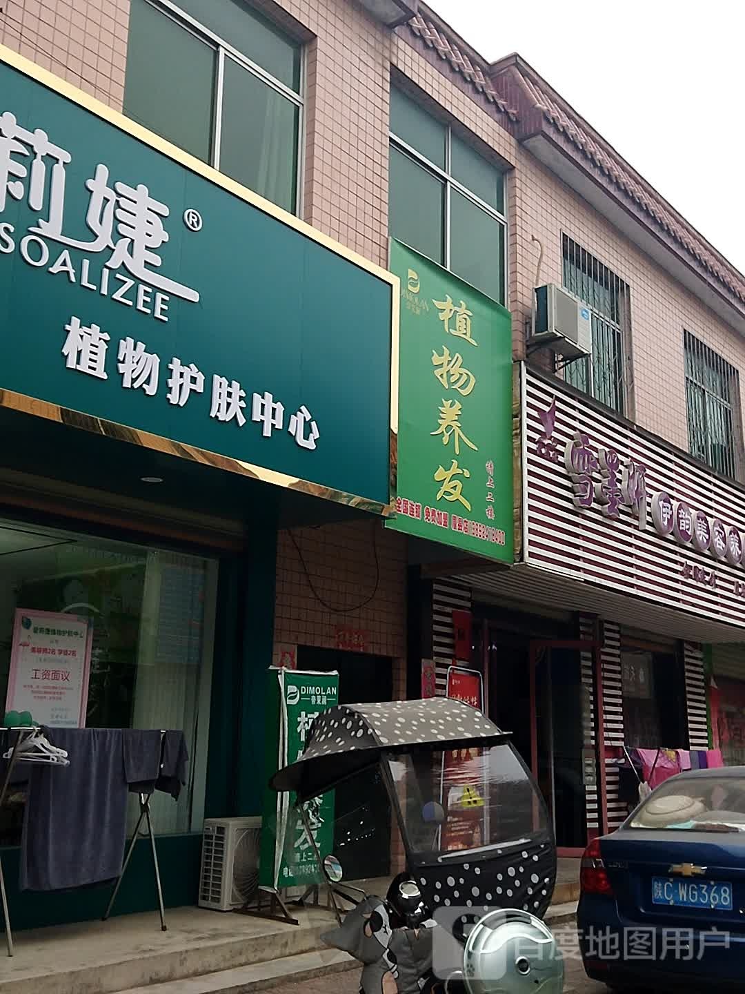 植物染发