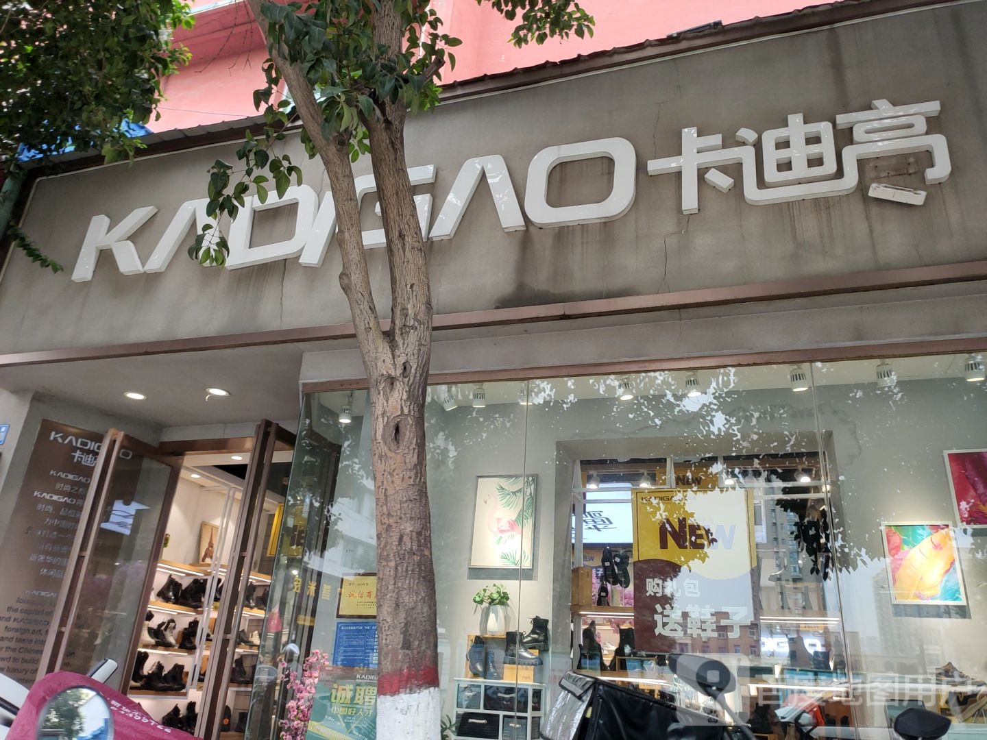 巩义市卡迪高(巩义一店)