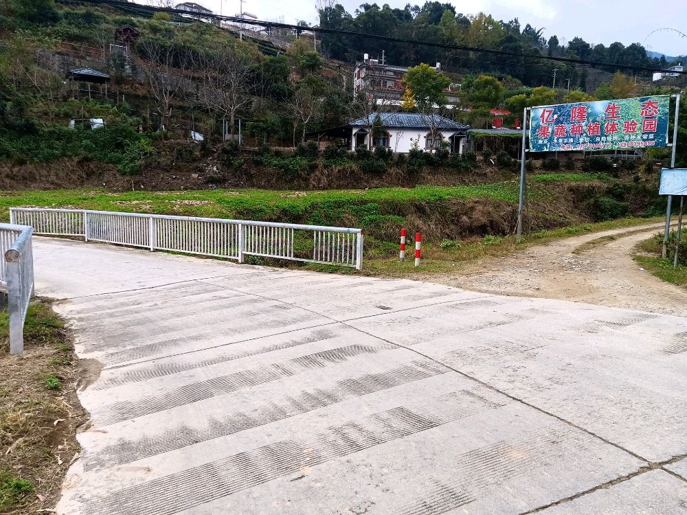 凤庆县等上小金豆基地收购点