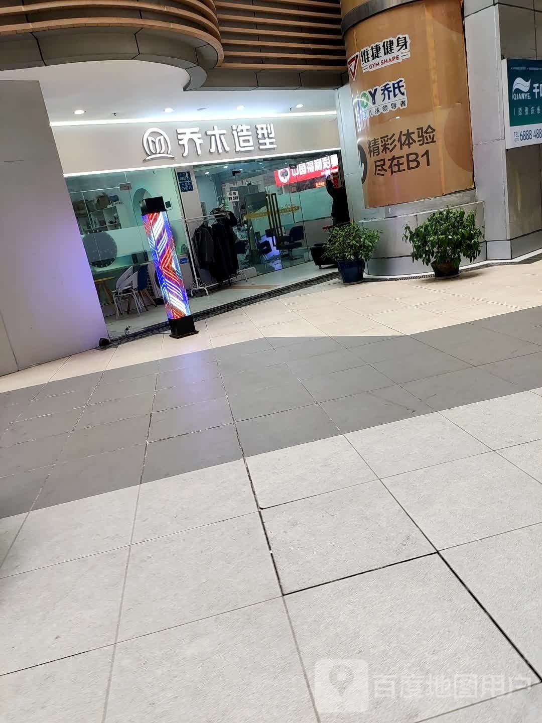 乔木·造型(石桥铺店)