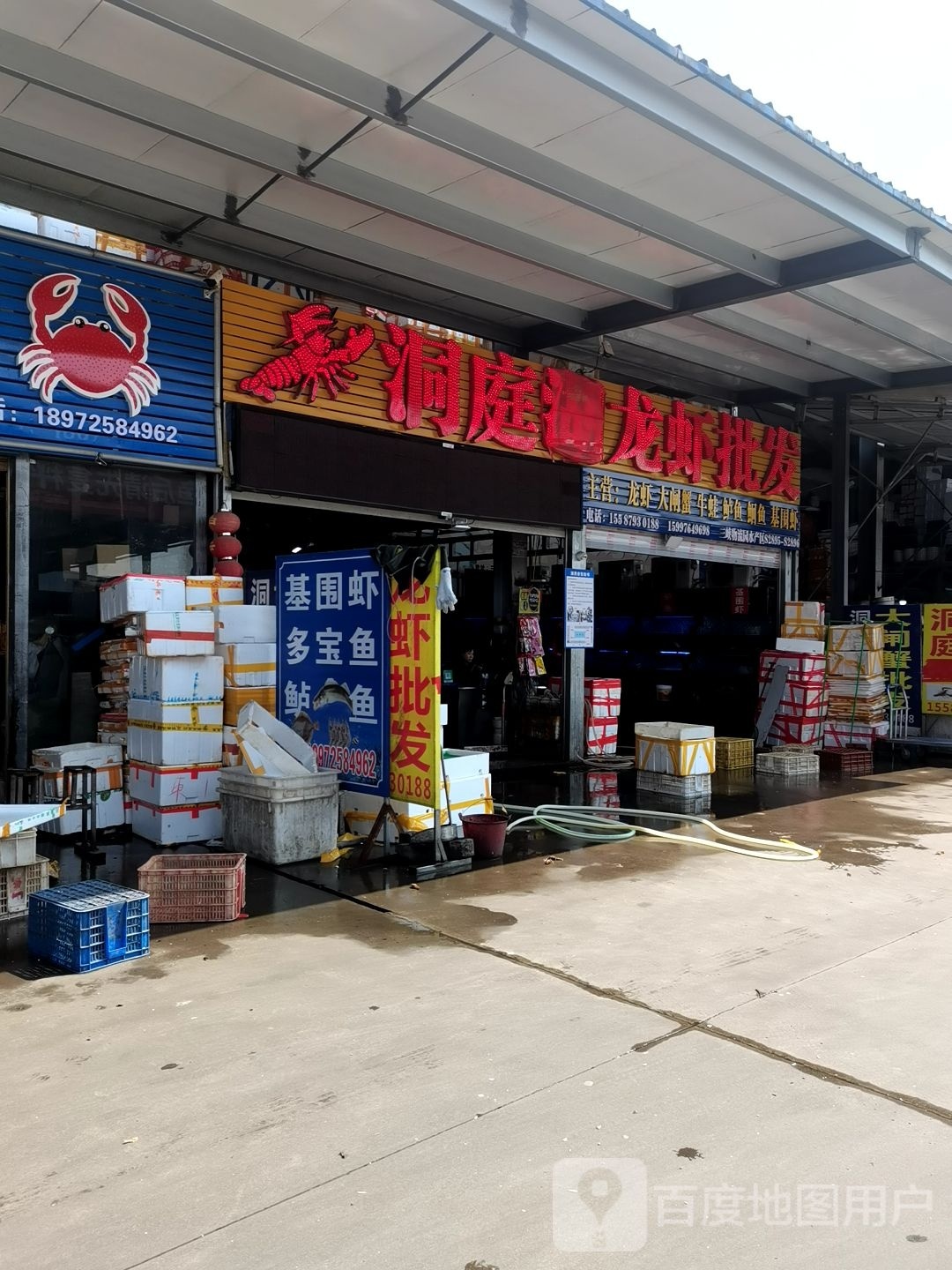 洞庭湖龙虾批发