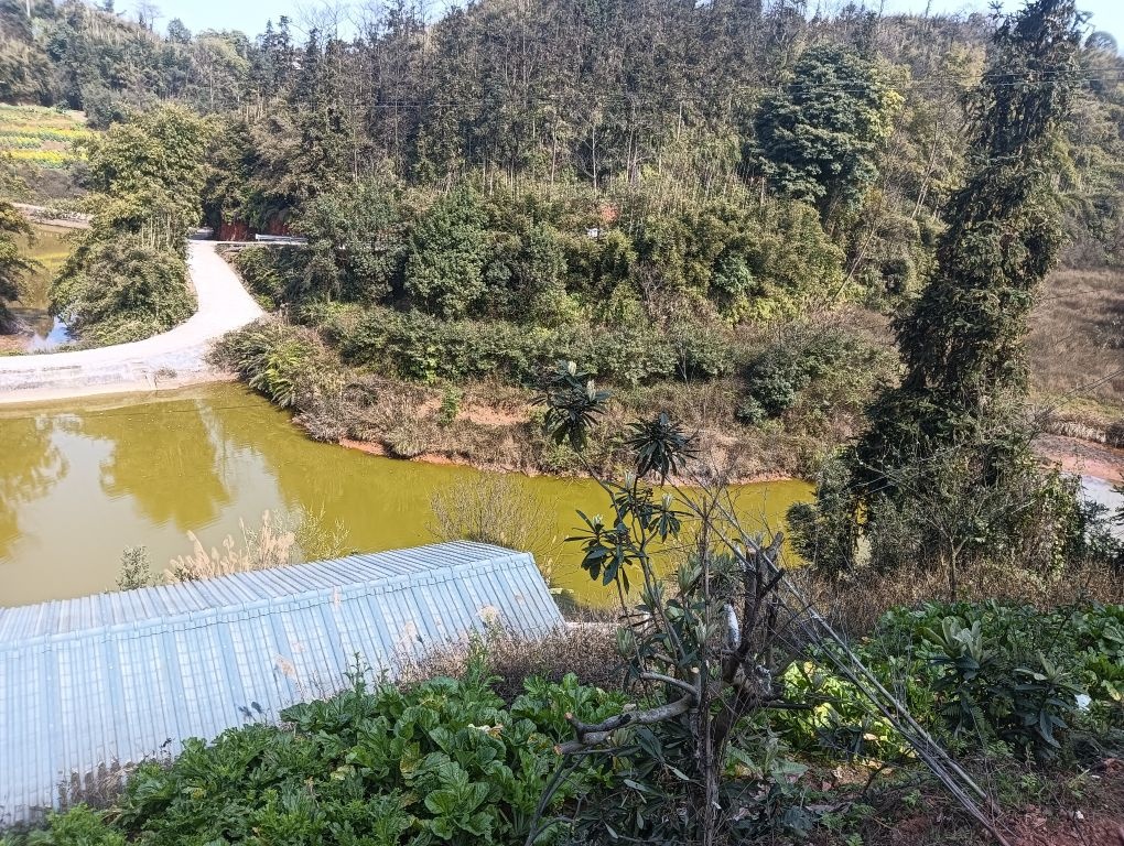 陈光友垂钓