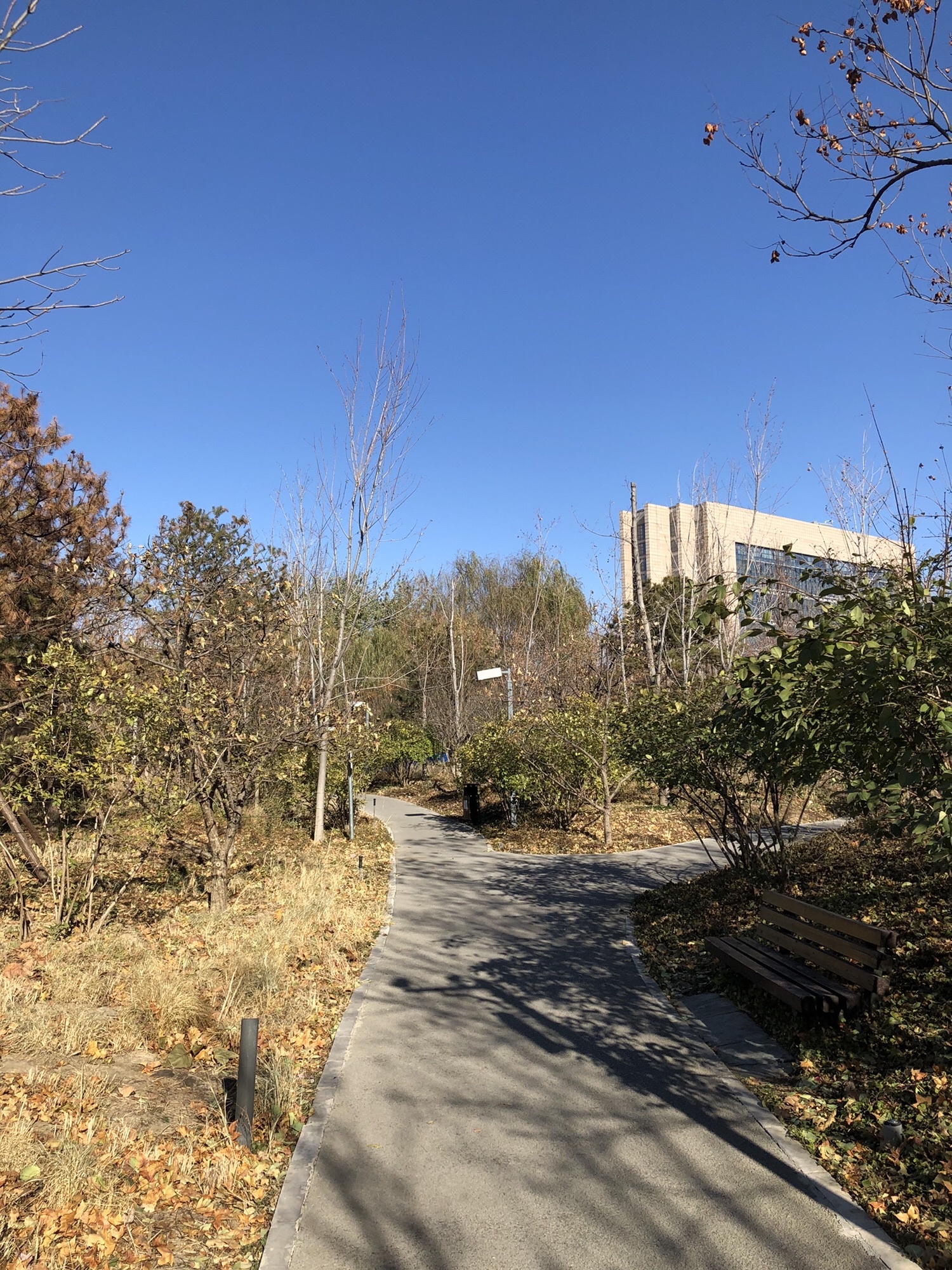 广阳谷城市森林公园