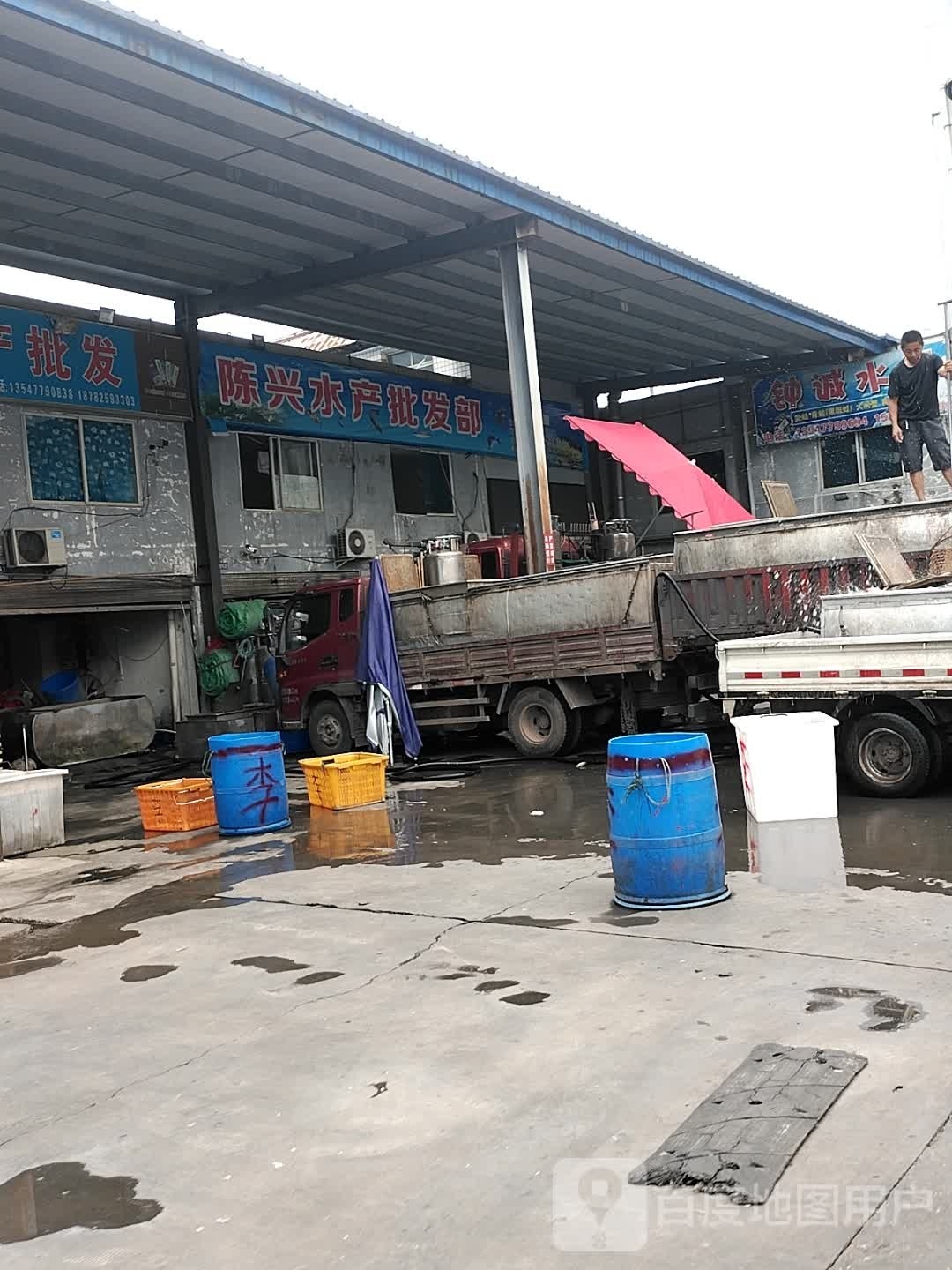 陈兴水产批发经营部