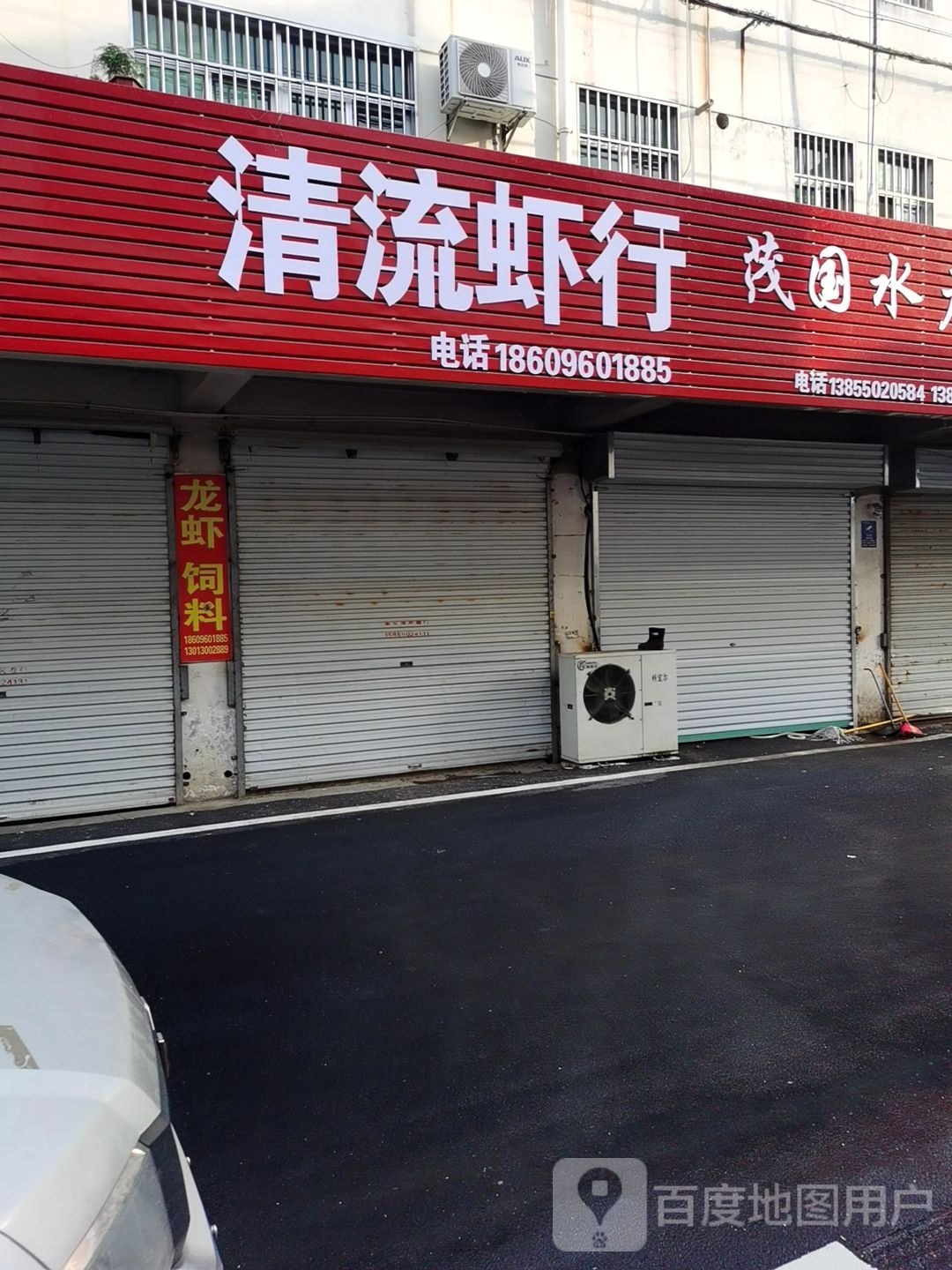 青流虾行