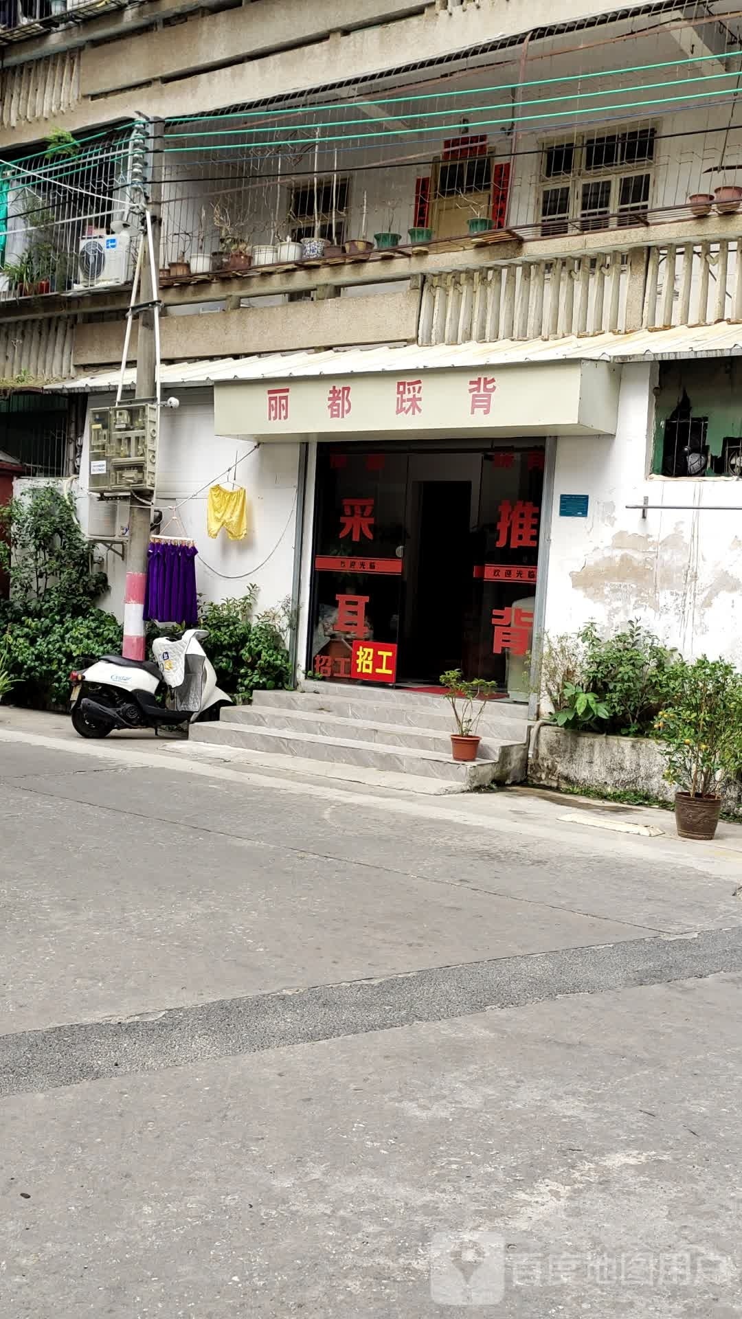 丽du踩背