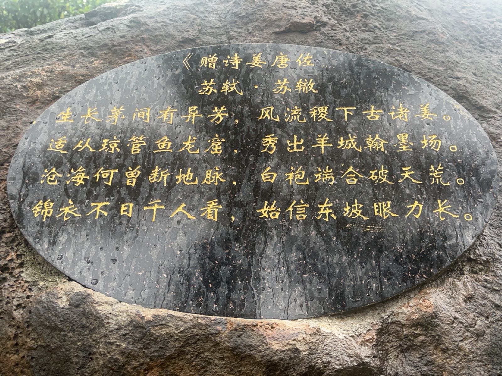 赠诗姜唐佐石