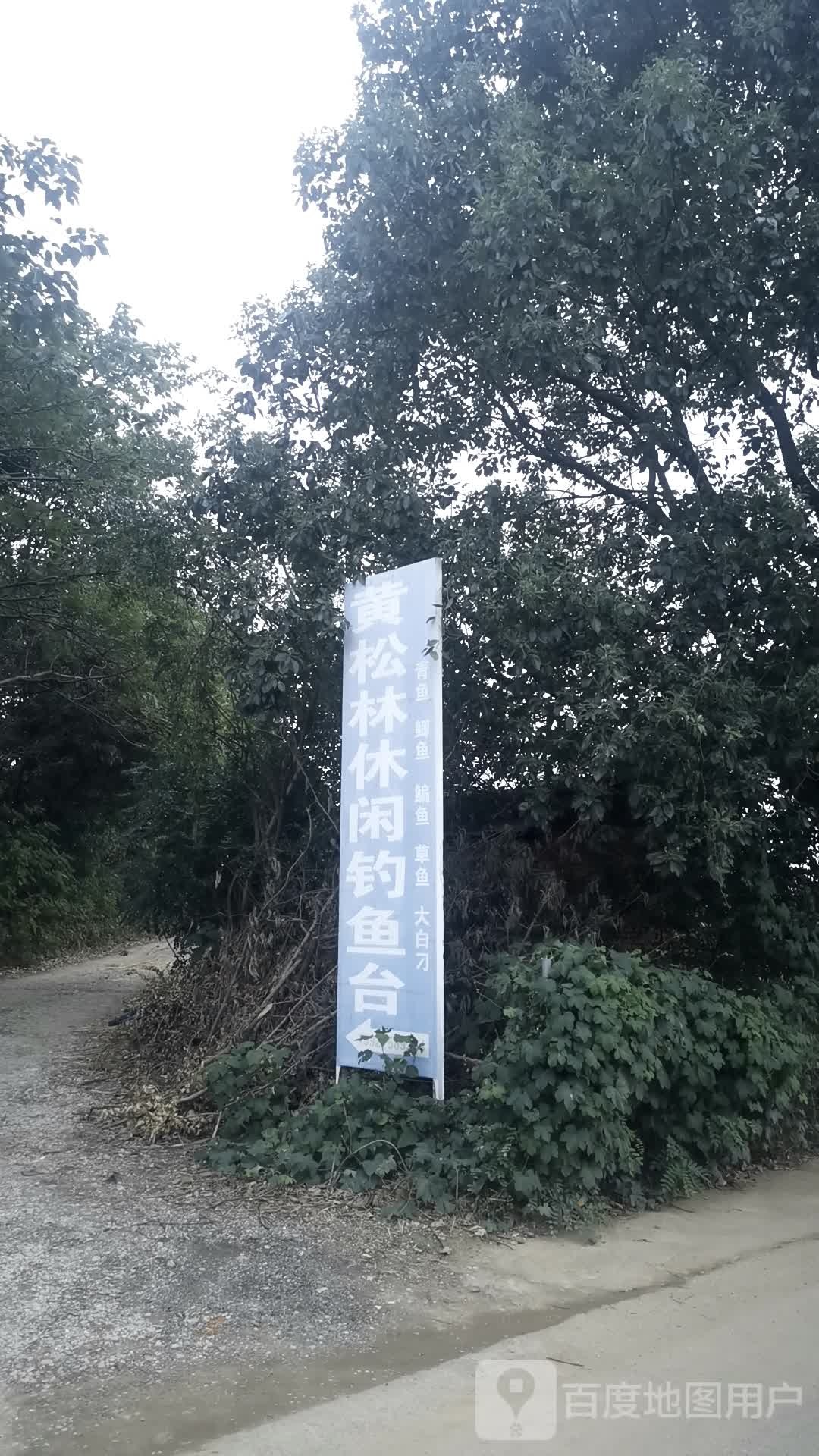 汤孙湖黄松林休闲钓鱼台