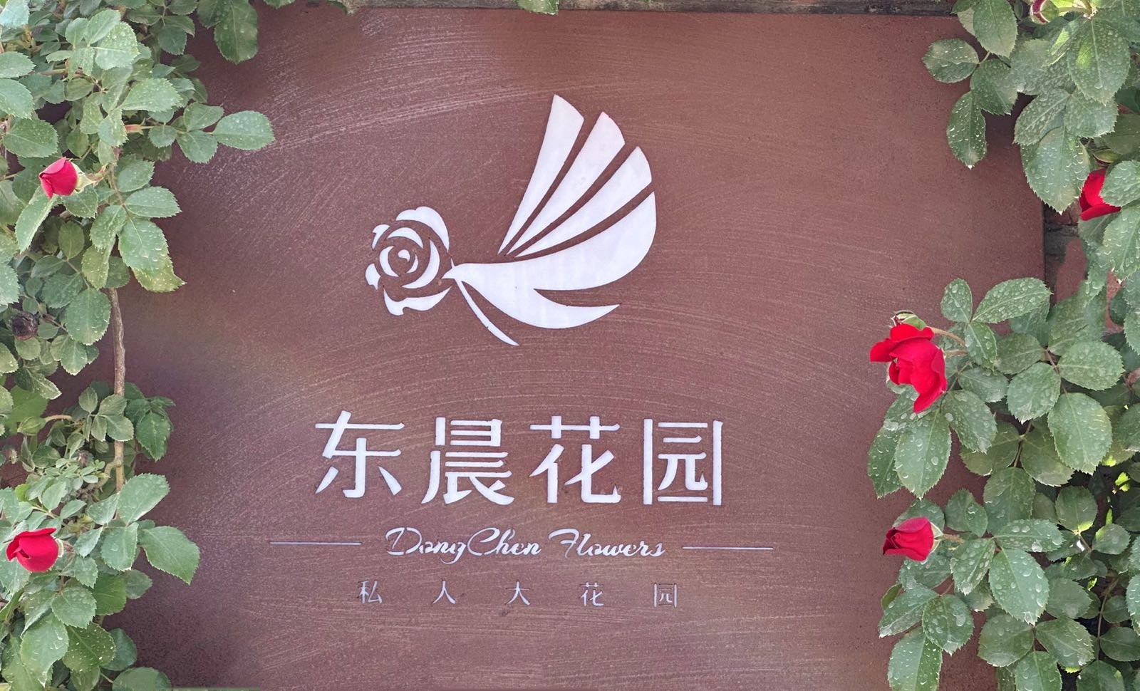 东晨花园
