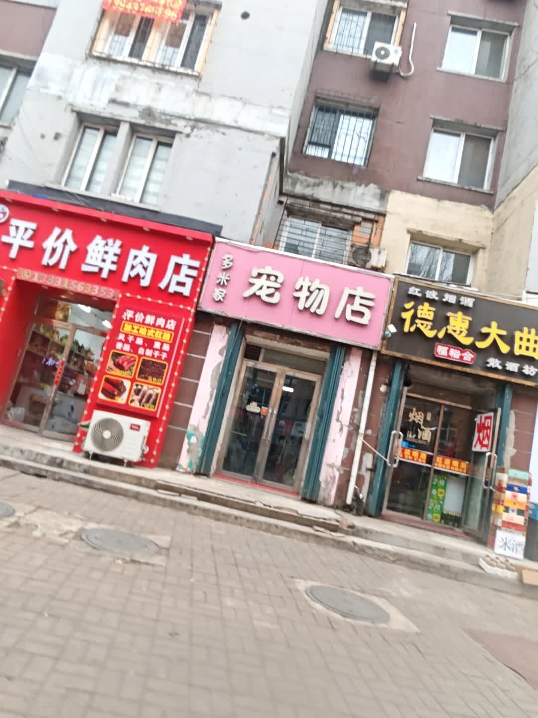 多米家宠物店(多寿花园店)