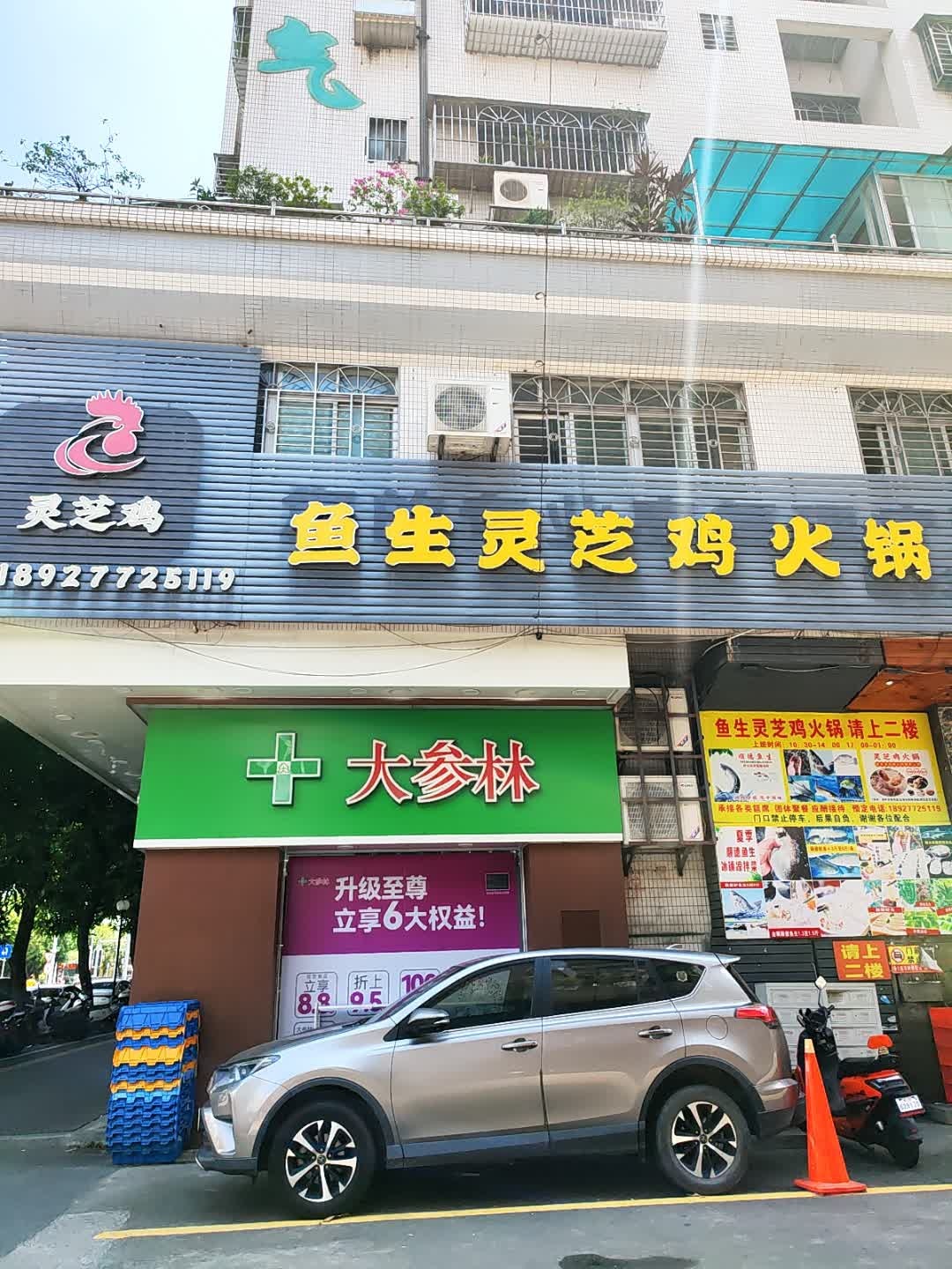 鱼生灵芝鸡火锅