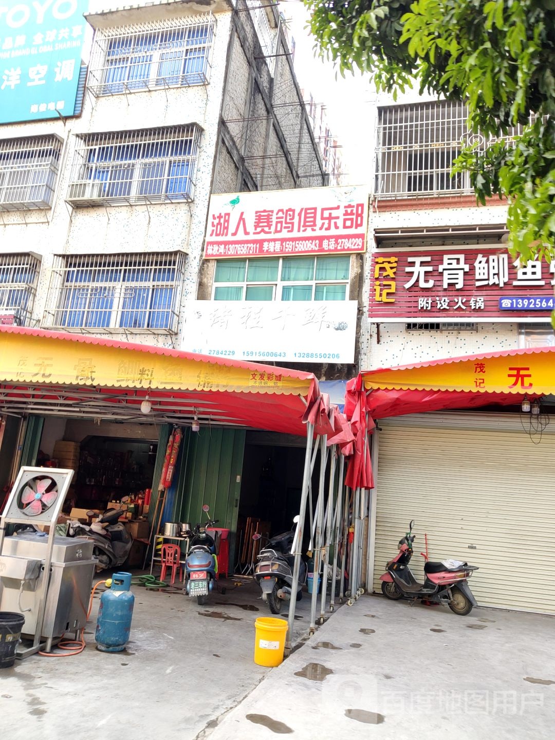 湖人塞鸽俱乐部