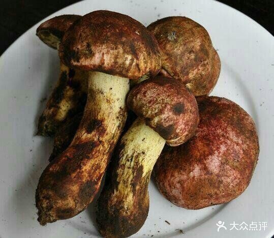 大详和