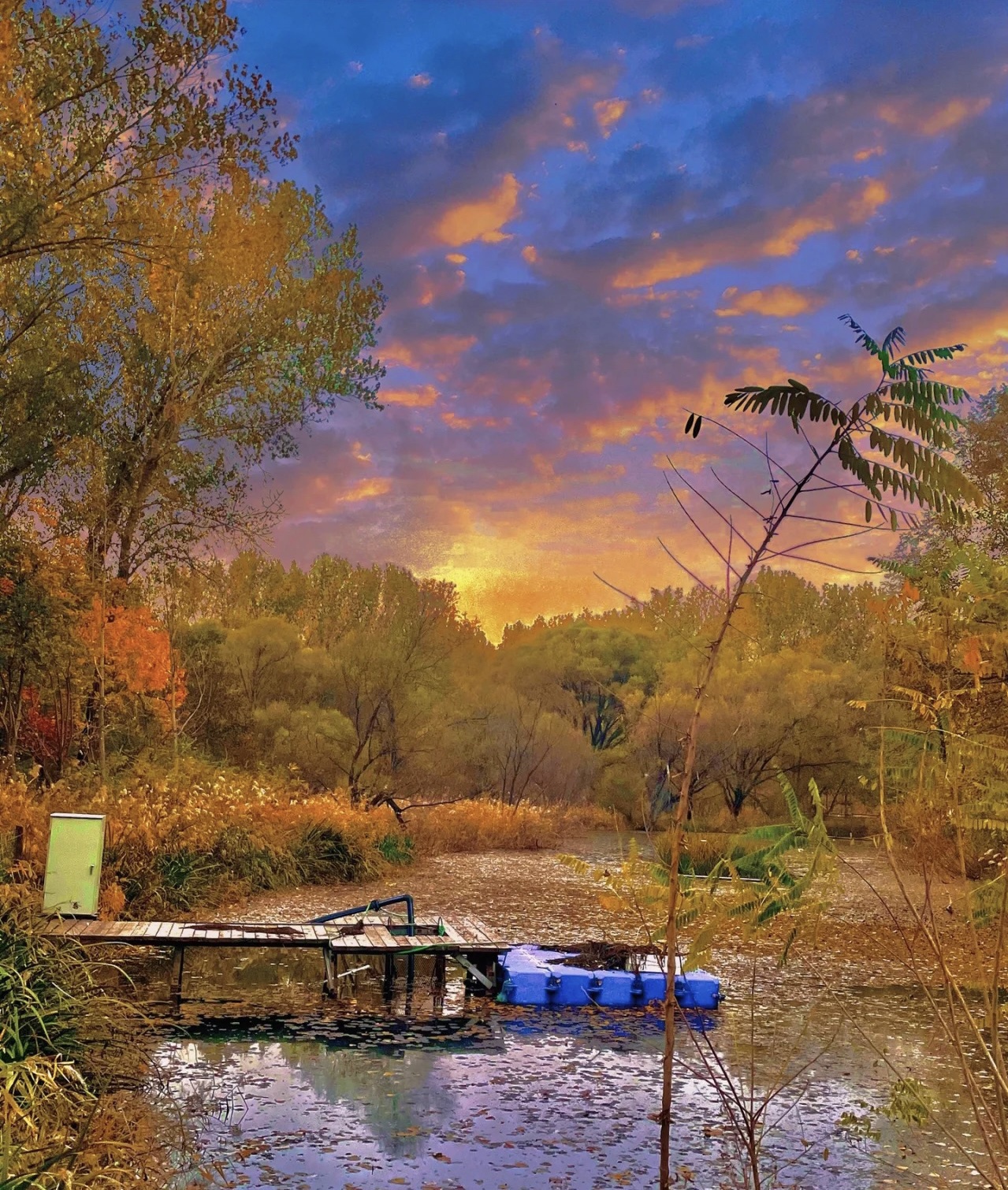 海滨国家森林公园