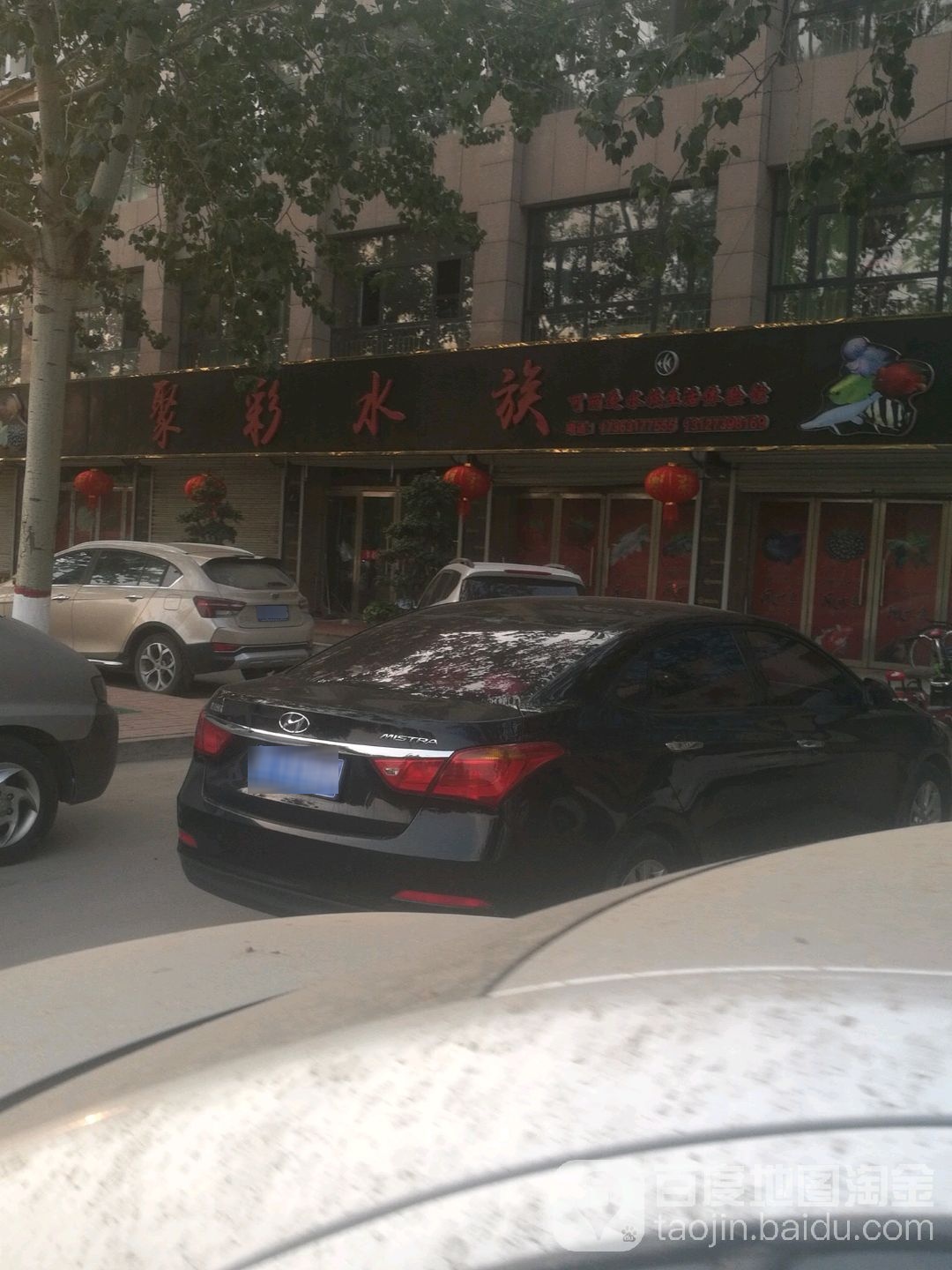 聚彩水族