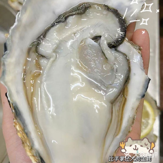 壹品蚝城烧烤